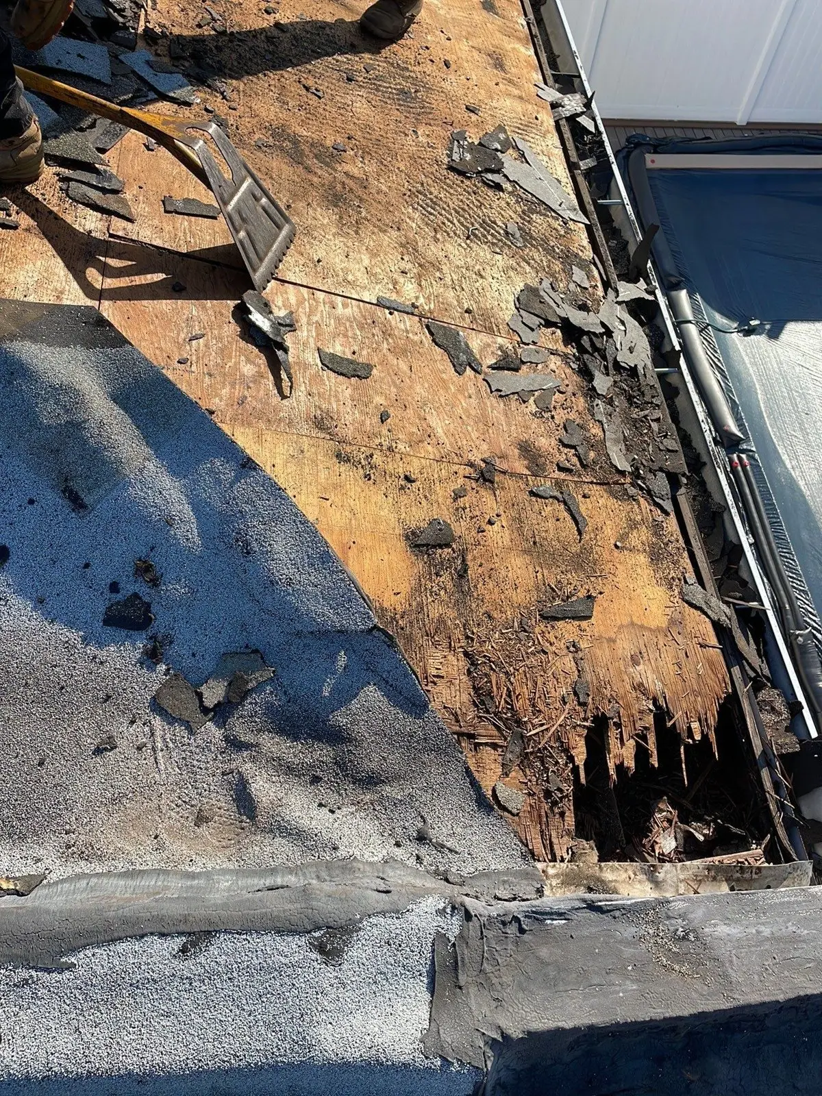 Rotted roof decking exposed during an emergency repair
