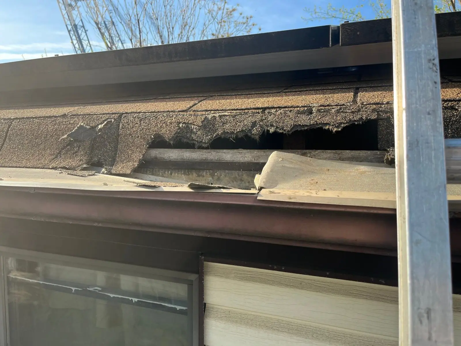 Rotted fascia board and roof edge behind an old gutter