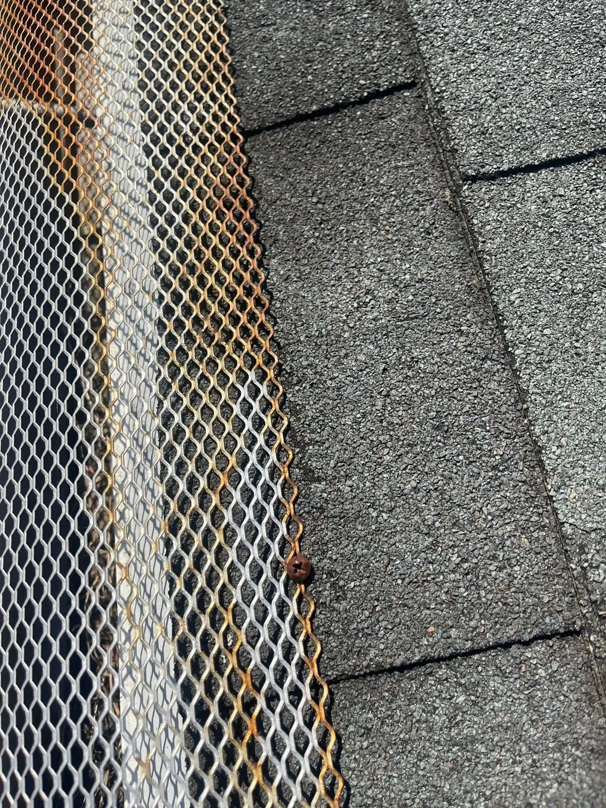 Mesh gutter guard on a gutter along a shingle roof